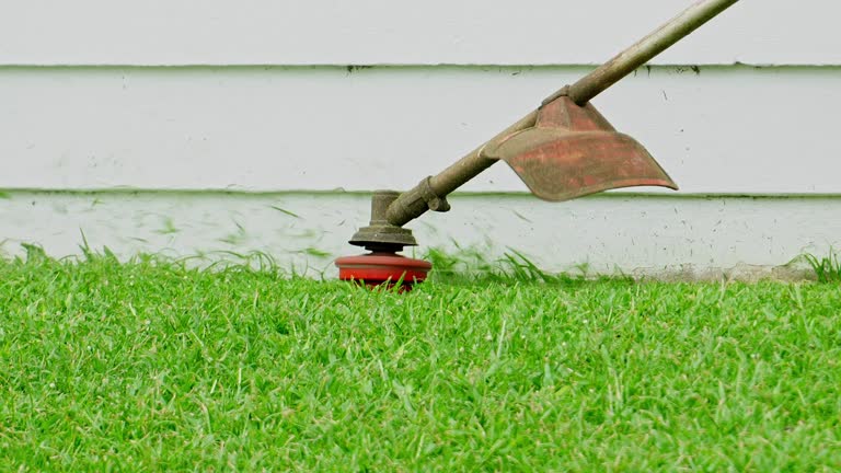 Reliable Topton, PA Tree Services Solutions